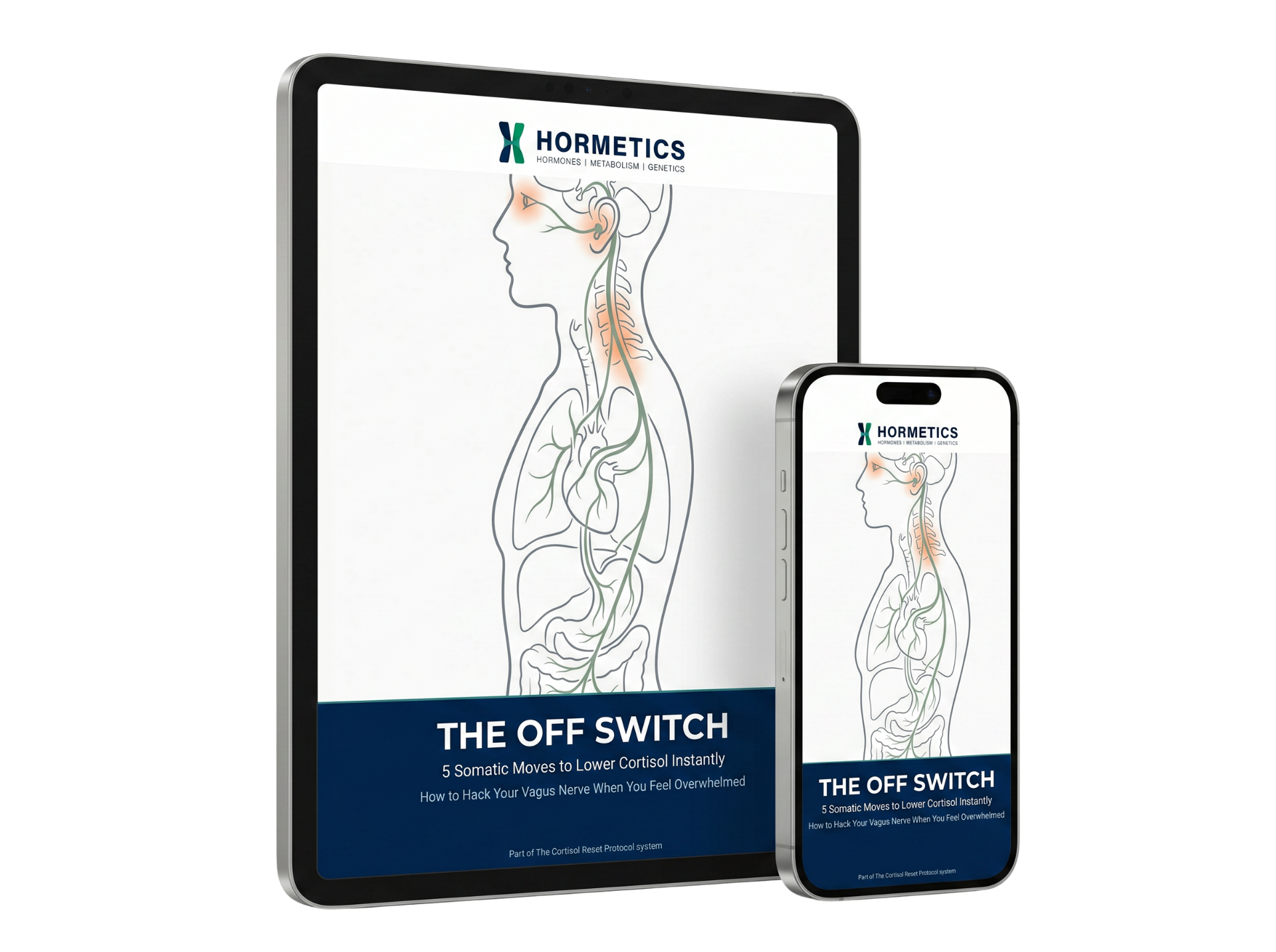 The Off Switch bonus