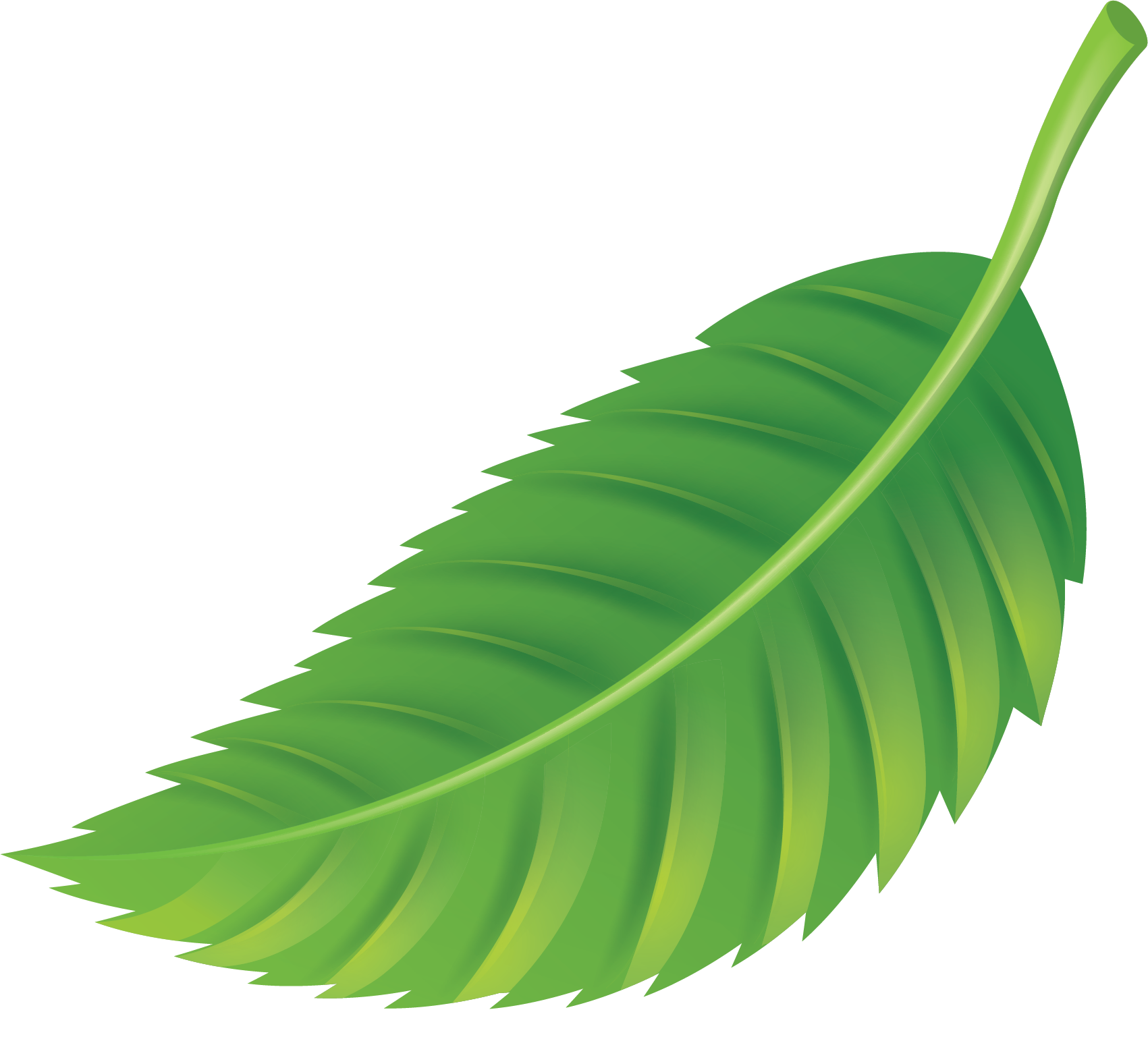 The High Insulin Type