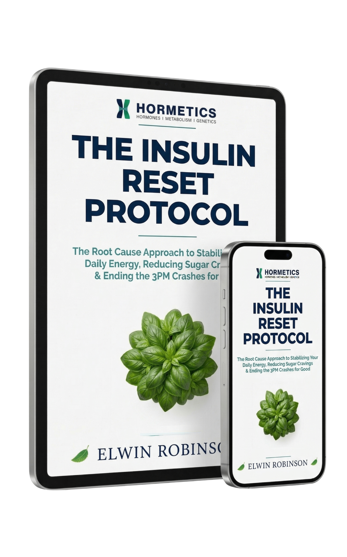 The Insulin Reset Protocol guide