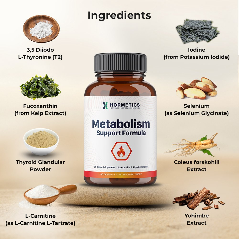 Metabolism Support Formula bottle surrounded by its eight key ingredients: 3,5 Diiodo L-Thyronine, Iodine, Fucoxanthin, Selenium, Thyroid Glandular Powder, Coleus forskohlii Extract, L-Carnitine, and Yohimbe Extract