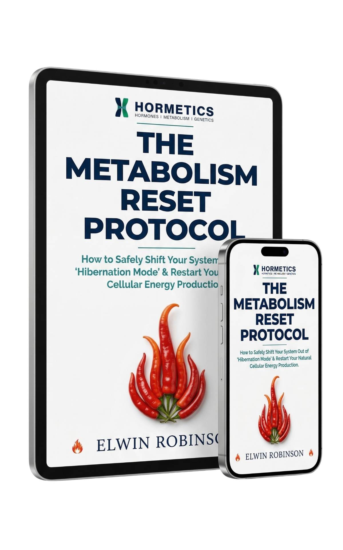 The Metabolism Reset Protocol guide